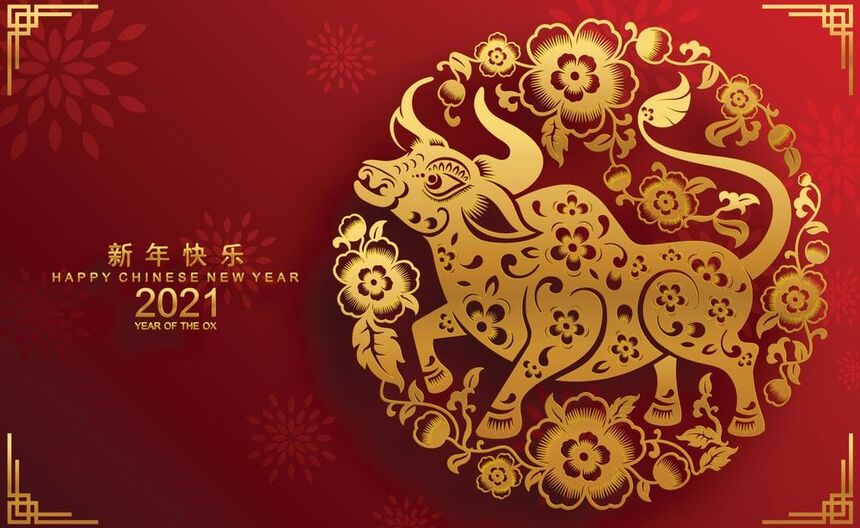 Our Precious Chinese New Year