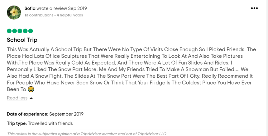 The 5 Best Reviews on I-City’s SnoWalk