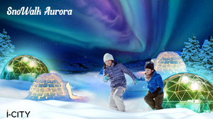 SnoWalk Aurora